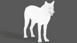 Red Wolf 3D Model Wireframe View Thumbnail