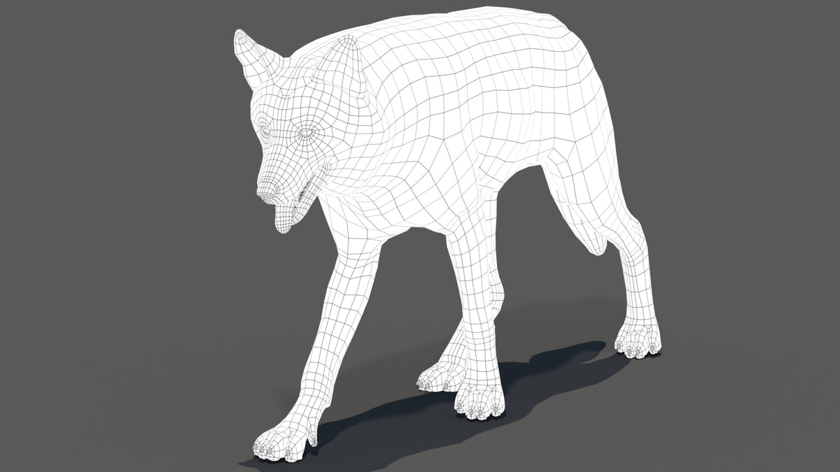 3D model of a wolf with a wireframe structure on a gray background
