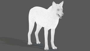 Red Wolf 3D Model Wireframe View Thumbnail