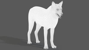 Red Wolf 3D Model Wireframe View Thumbnail