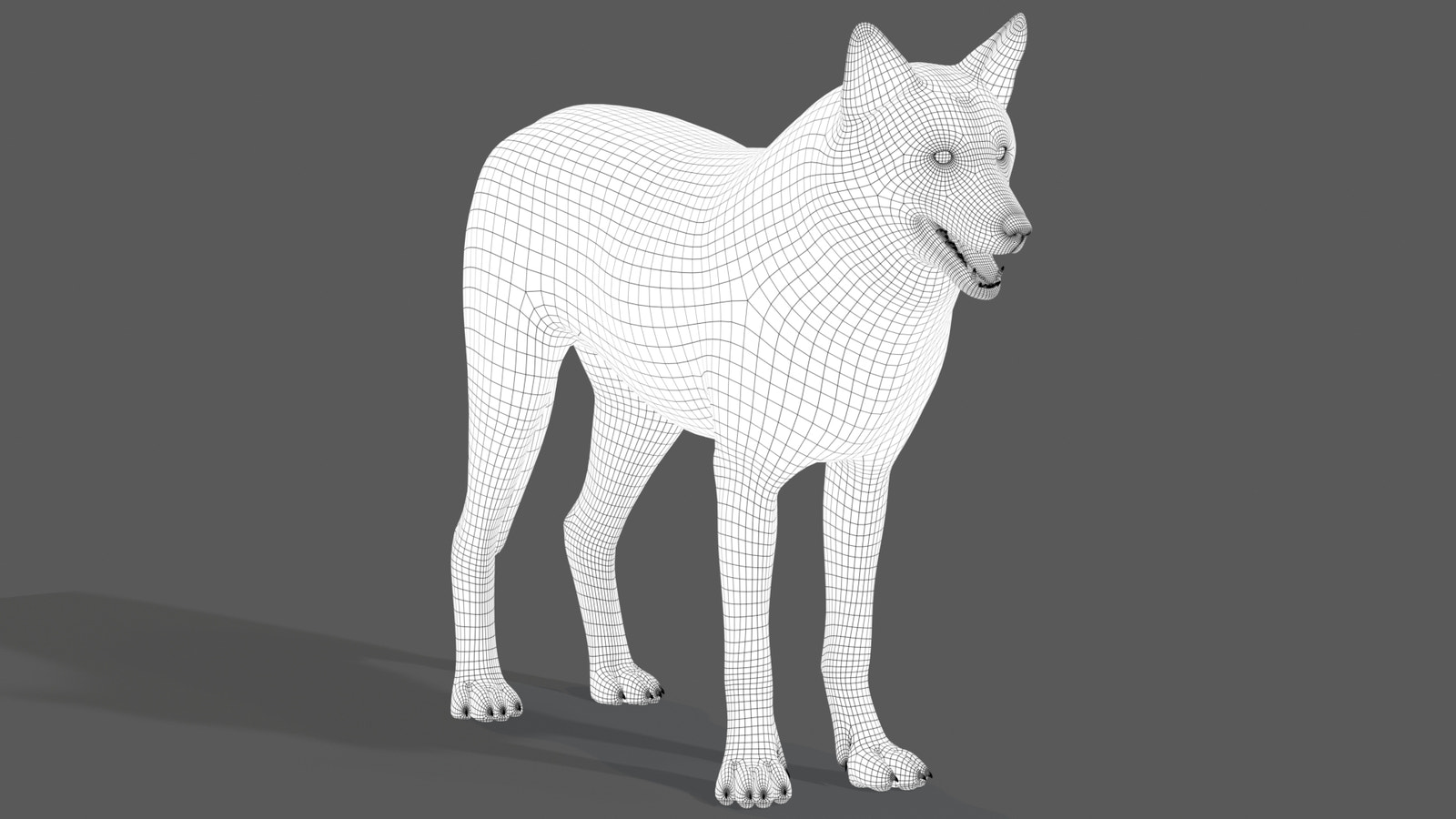 Red Wolf 3D Model Wireframe View