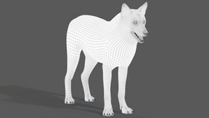 Red Wolf 3D Model Wireframe View Thumbnail