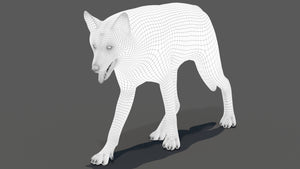 Animated Red Wolf 3D Model Wireframe View Subdivision Level 1 Thumbnail