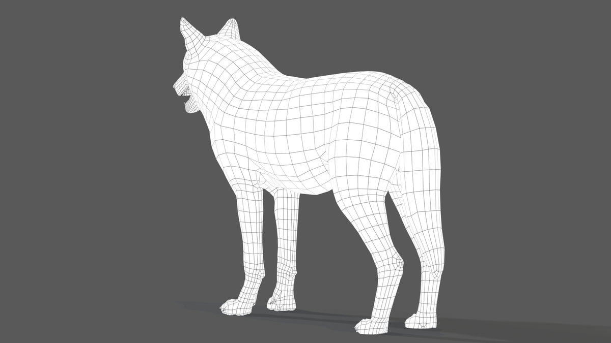 Red Wolf 3D Model Wireframe View