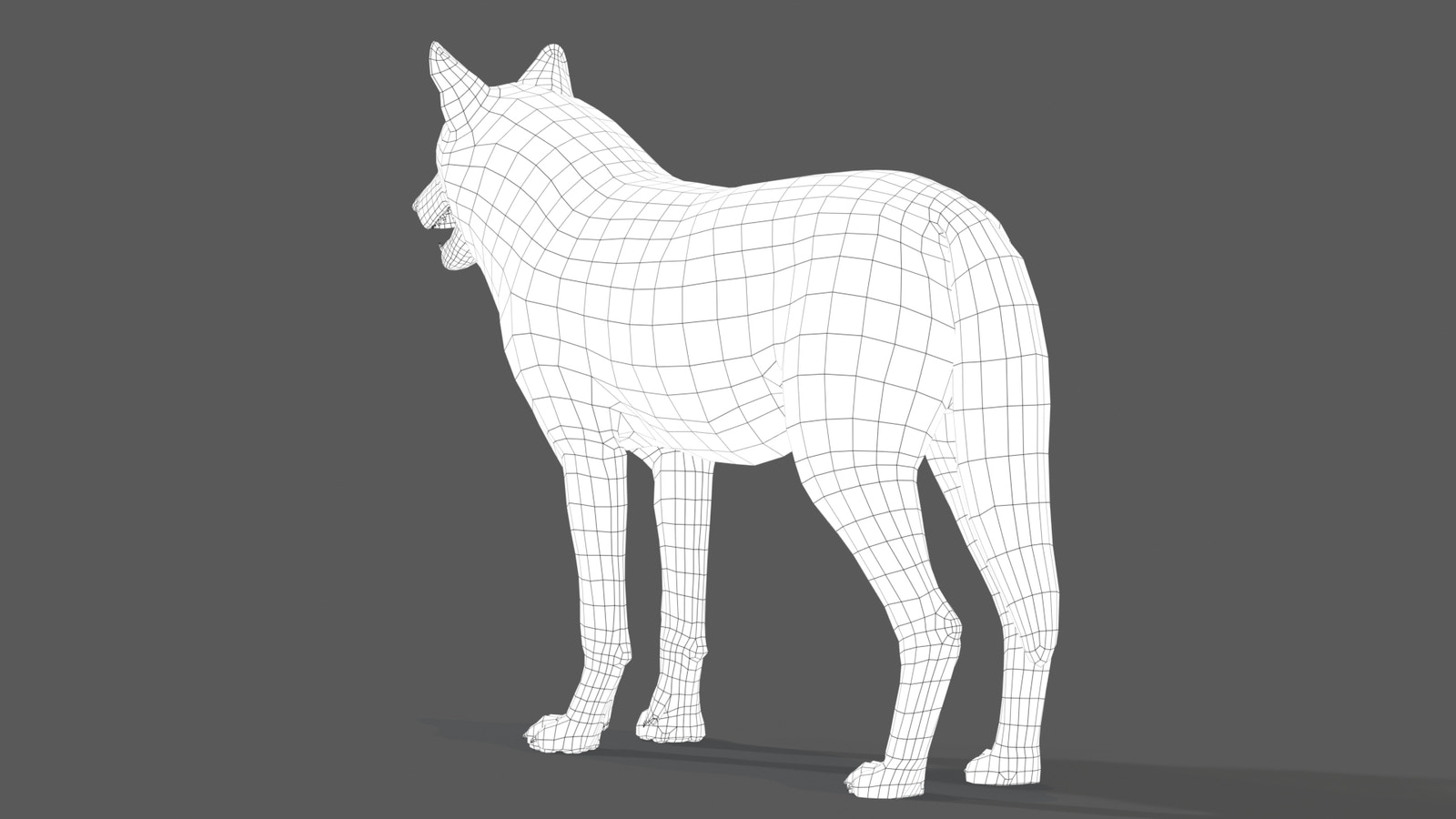 Red Wolf 3D Model Wireframe View
