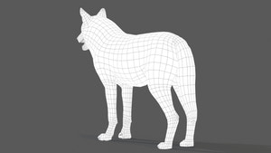 Red Wolf 3D Model Wireframe View Thumbnail