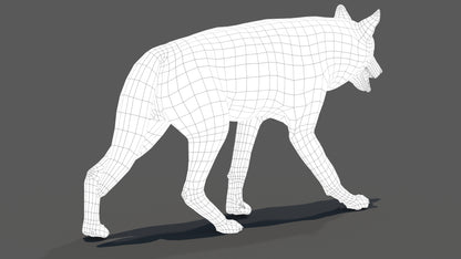 Animated Red Wolf 3D Model Fur