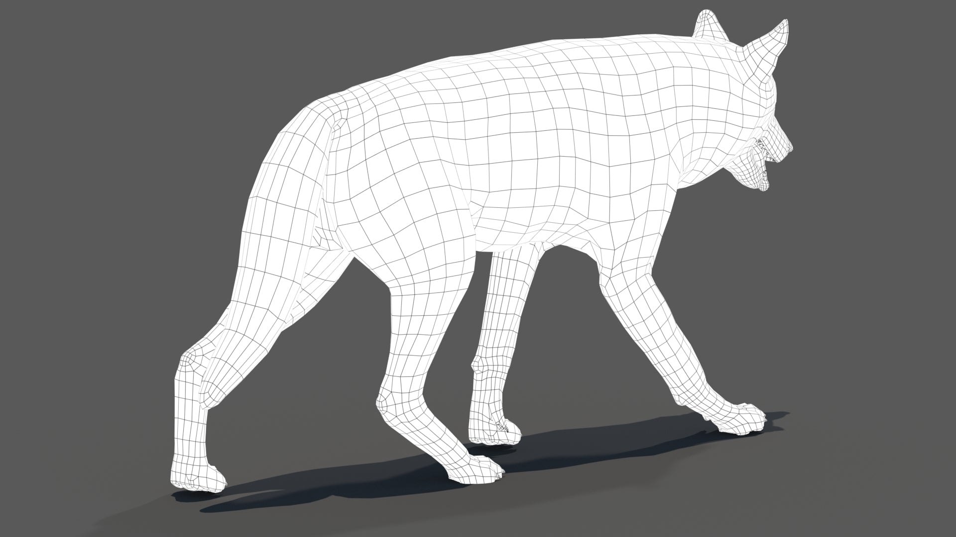 3D model of a wolf with a wireframe structure on a gray background