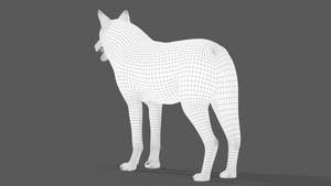 Red Wolf 3D Model Wireframe View Thumbnail