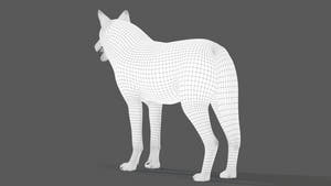 Red Wolf 3D Model Wireframe View Thumbnail