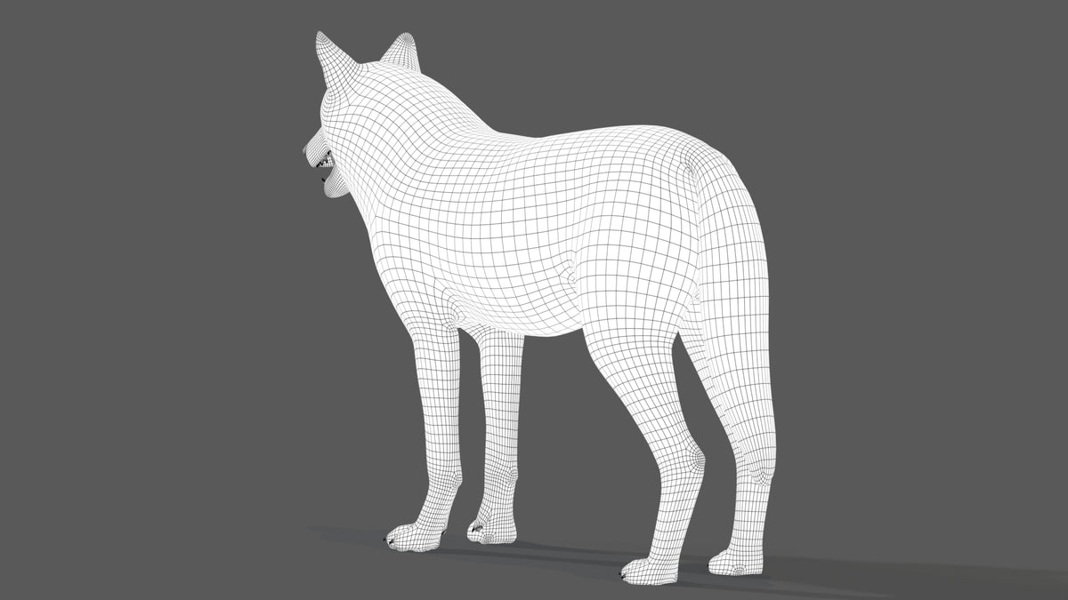 Red Wolf 3D Model Wireframe View