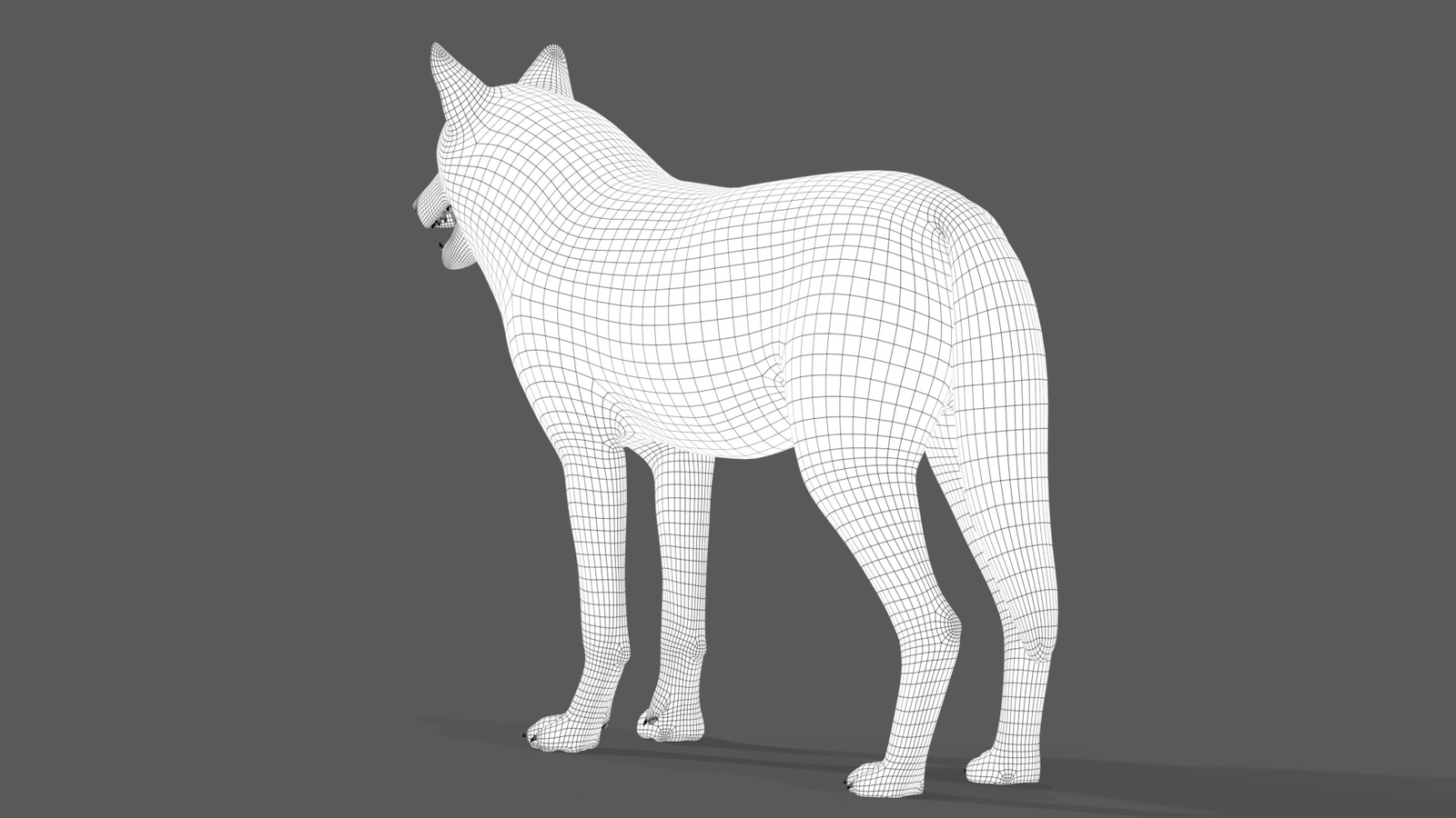 Red Wolf 3D Model Wireframe View