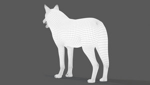 Red Wolf 3D Model Wireframe View Thumbnail