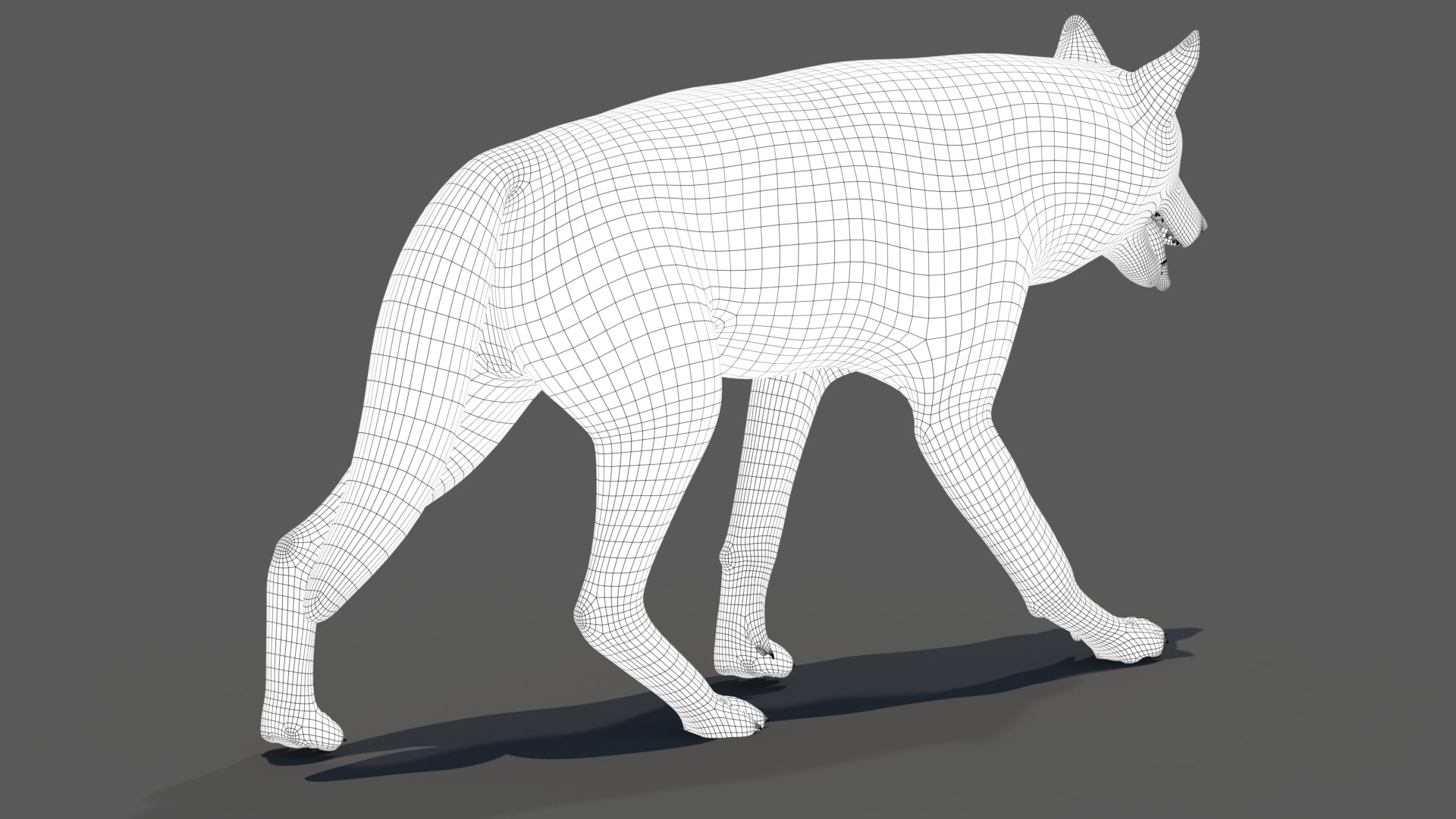 3D model of a wolf with a wireframe structure on a gray background