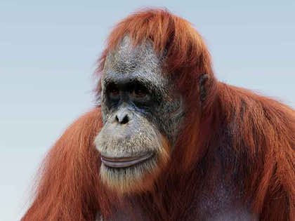 Rendering & Post-Production