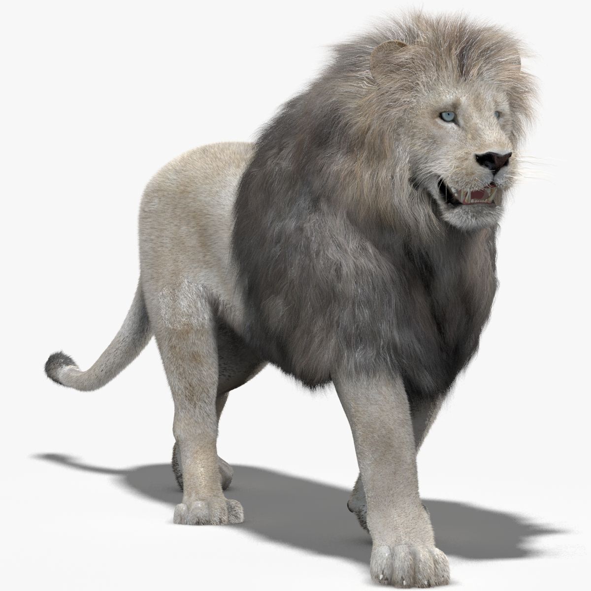 Animated White Lion 3D Model with Fur
