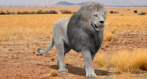 Animated White Lion 3D Model with Fur Thumbnail