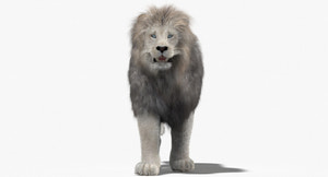 Animated White Lion 3D Model with Fur Thumbnail