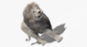 Animated White Lion 3D Model with Fur Thumbnail