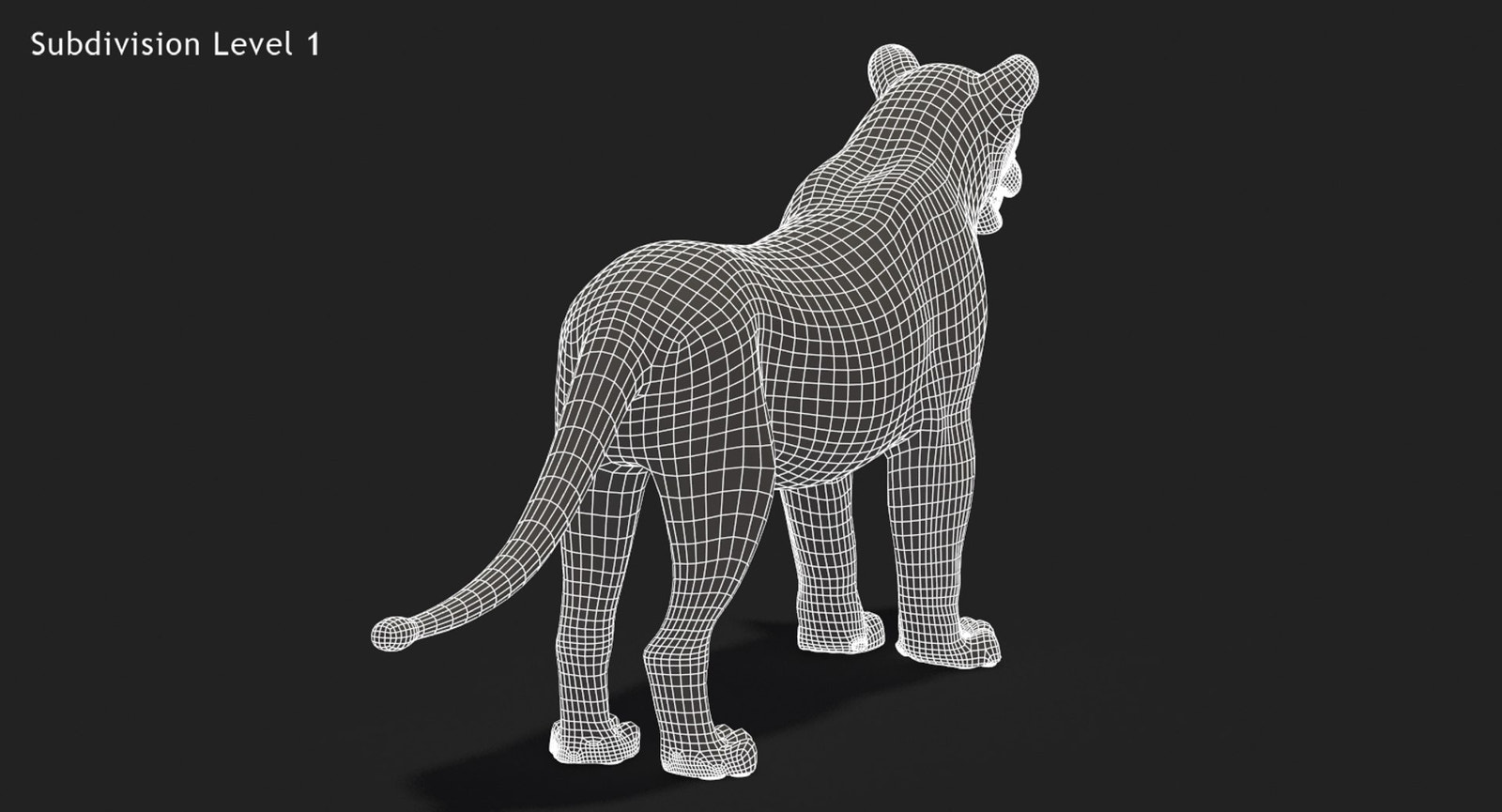 Lion 3D Model Wireframe View Subdivision Level 1
