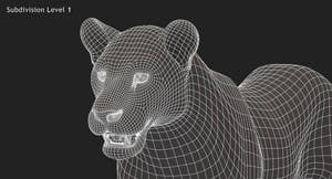 Lion 3D Model Wireframe View Subdivision Level 1 Thumbnail