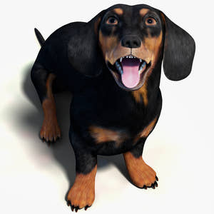 Rigged Black Dachshund Dog 3D Model – Game-Ready Thumbnail