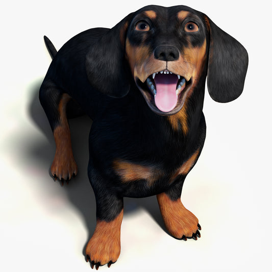 Rigged Black Dachshund Dog 3D Model – Game-Ready