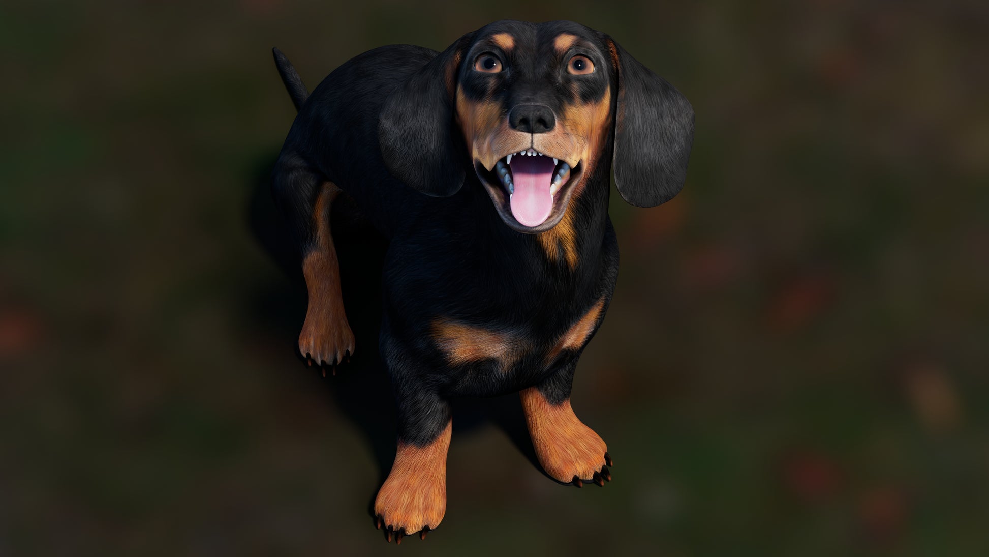 Rigged Black Dachshund Dog 3D Model – Game-Ready