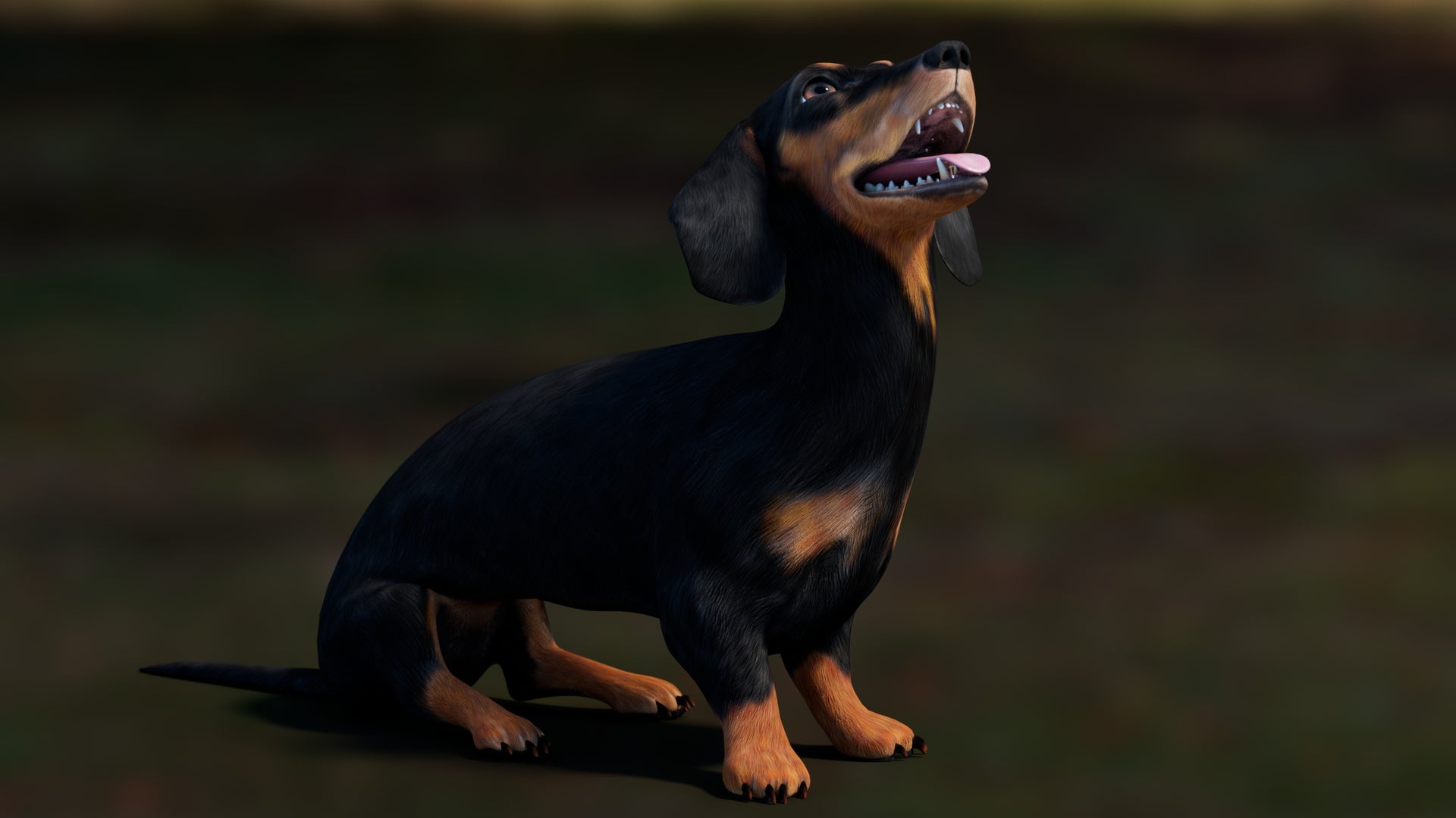 Rigged Black Dachshund Dog 3D Model – Game-Ready