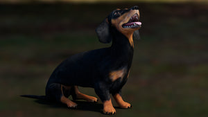 Rigged Black Dachshund Dog 3D Model – Game-Ready