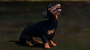 Rigged Black Dachshund Dog 3D Model – Game-Ready Thumbnail
