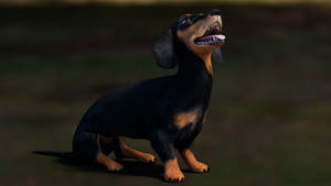 Rigged Black Dachshund Dog 3D Model – Game-Ready Thumbnail