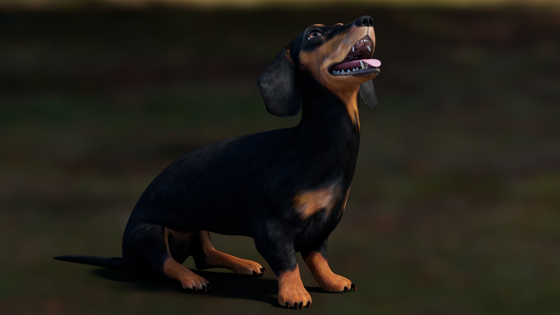 Rigged Black Dachshund Dog 3D Model – Game-Ready