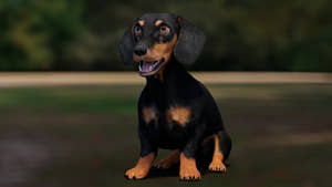 Rigged Black Dachshund Dog 3D Model – Game-Ready Thumbnail