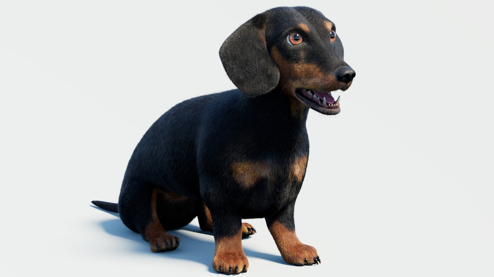 Rigged Black Dachshund Dog 3D Model with Fur