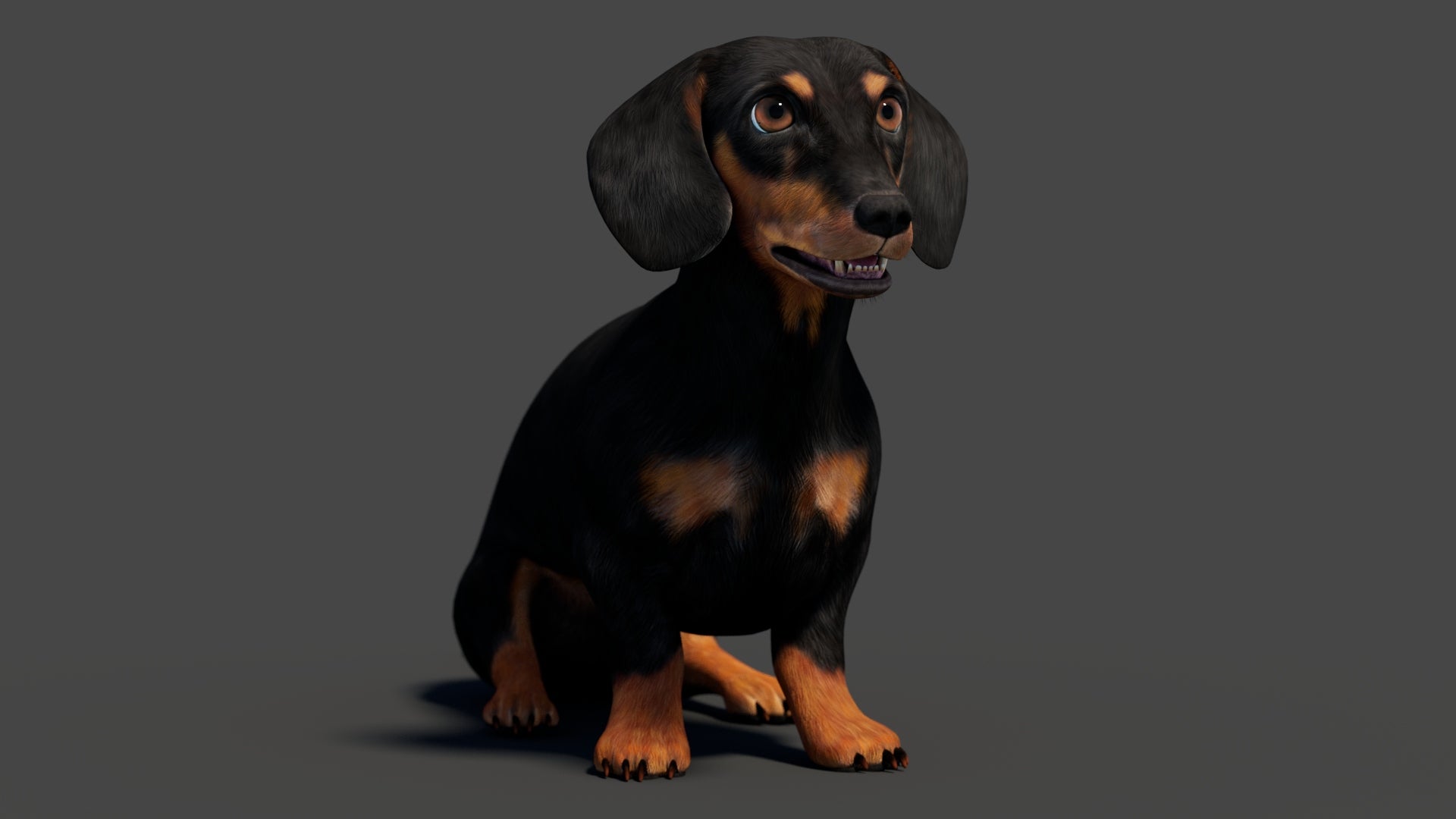 Rigged Black Dachshund Dog 3D Model – Game-Ready