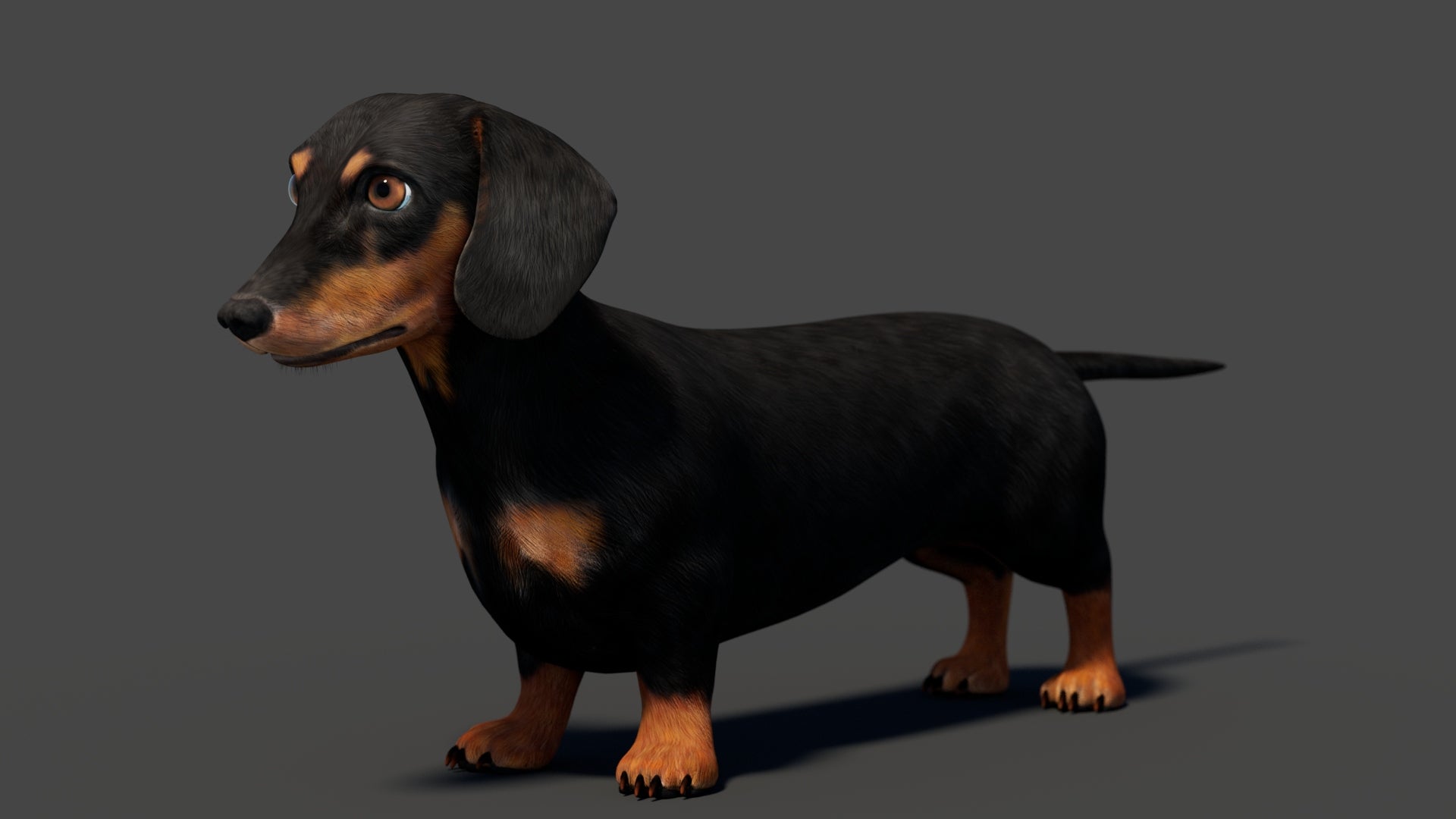 Rigged Black Dachshund Dog 3D Model – Game-Ready