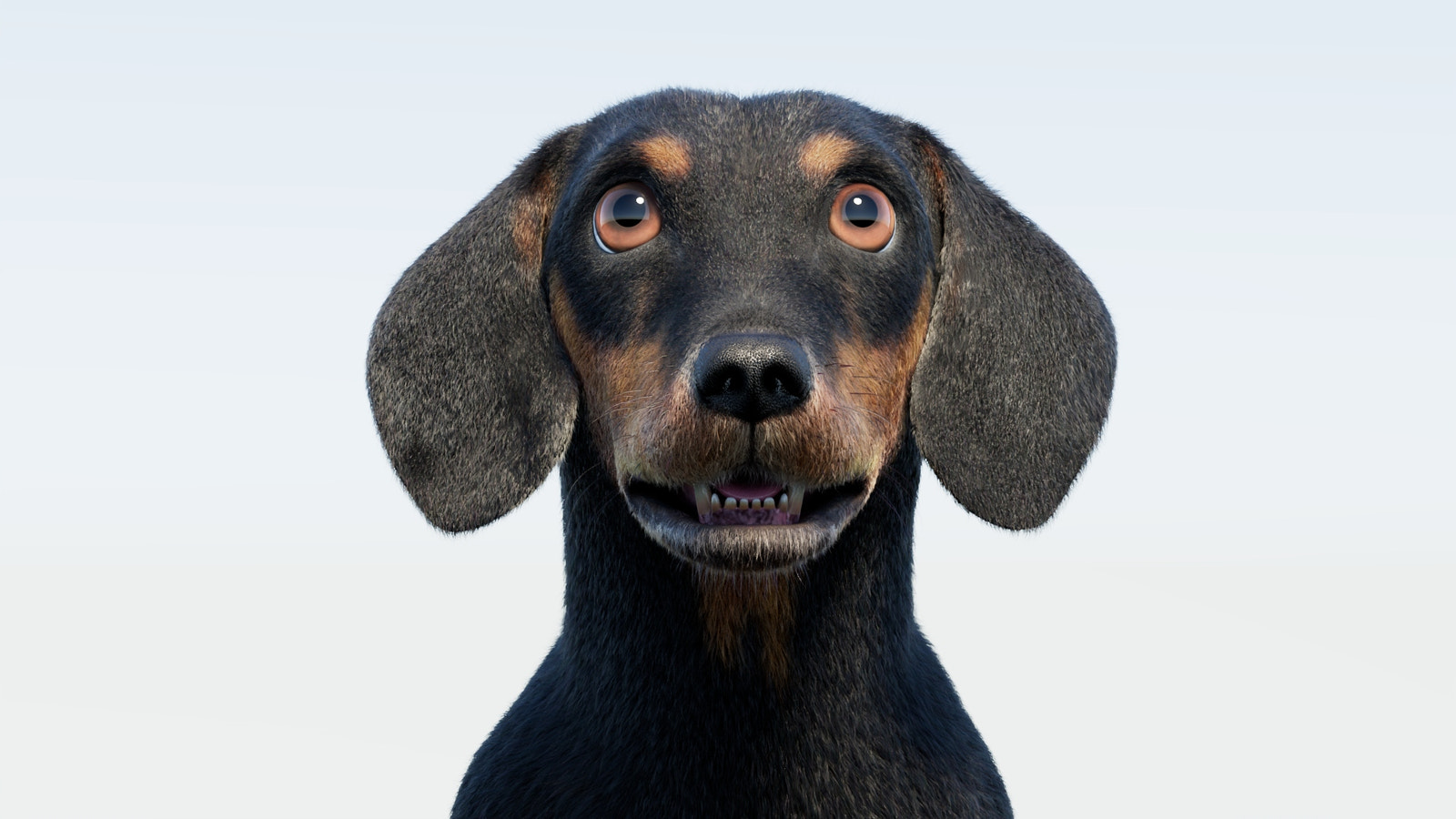 Rigged Black Dachshund Dog 3D Model with Fur