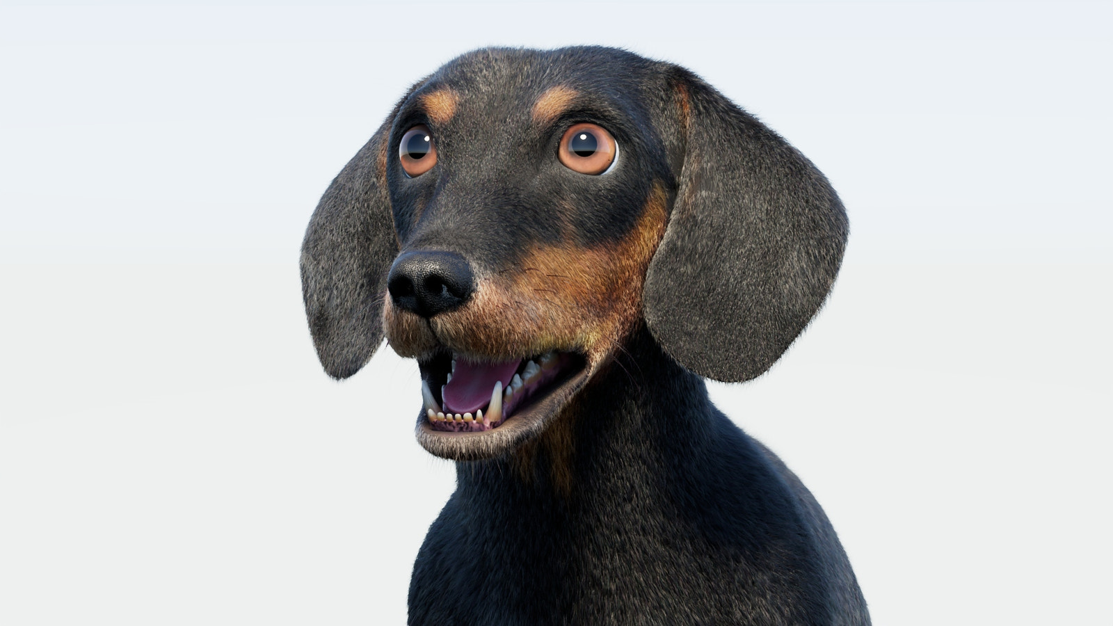 Rigged Black Dachshund Dog 3D Model with Fur