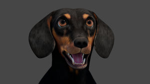 Rigged Black Dachshund Dog 3D Model – Game-Ready