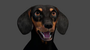 Rigged Black Dachshund Dog 3D Model – Game-Ready Thumbnail