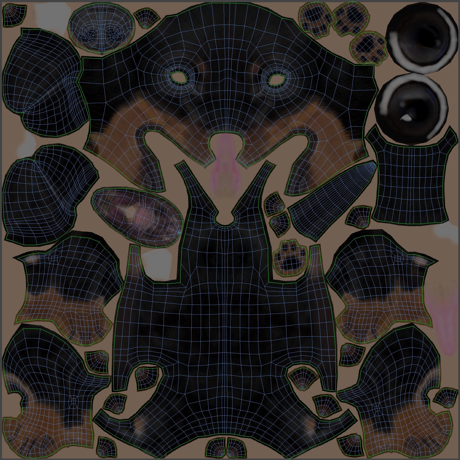 Black Dachshund Dog 3D Model UVs