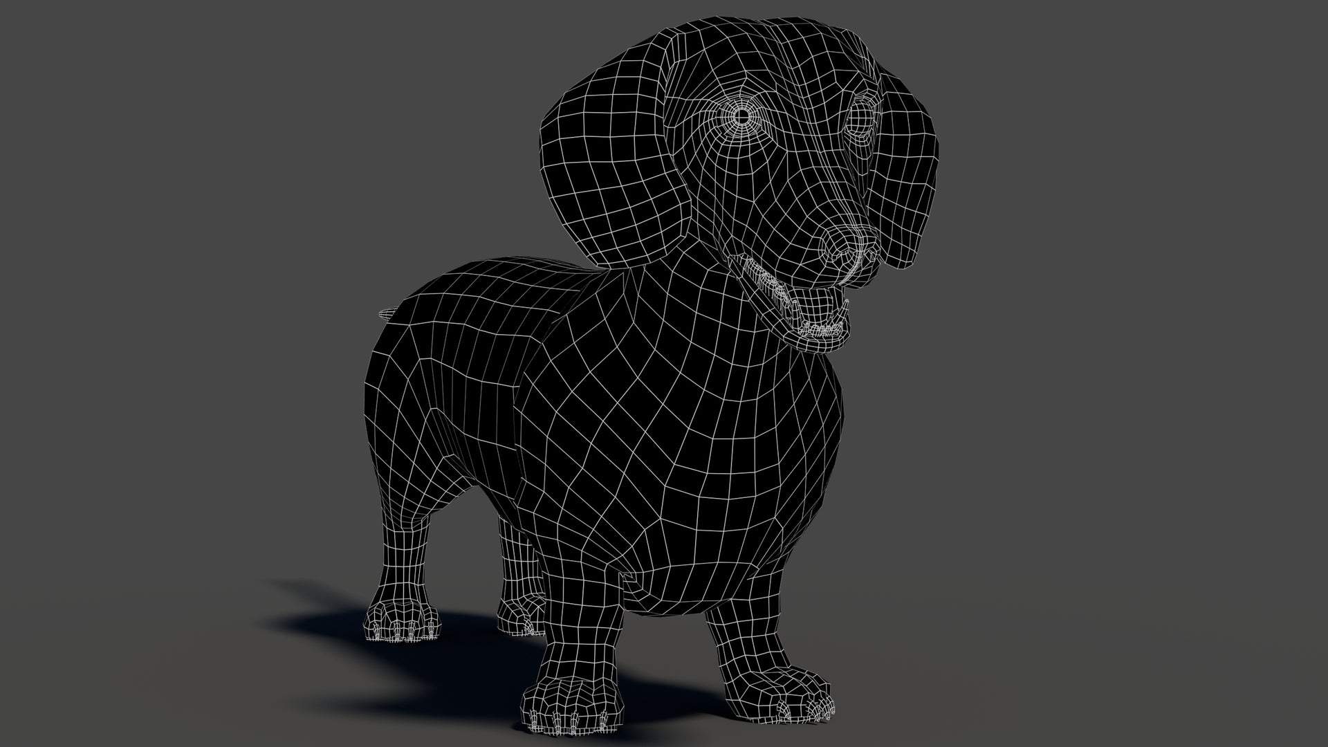 Black Dachshund Dog 3D Model Wireframe View