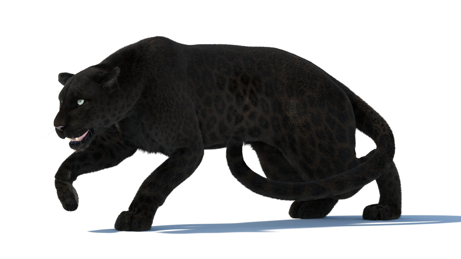 Black Panther 3D Model Rigged Fur 360° view 3 frame 3