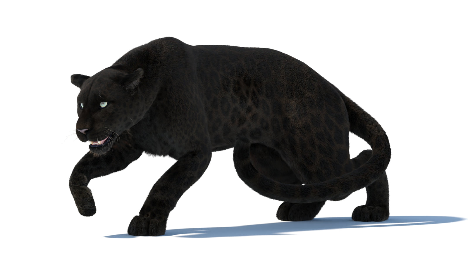 Black Panther 3D Model Rigged Fur 360° view 3 frame 4