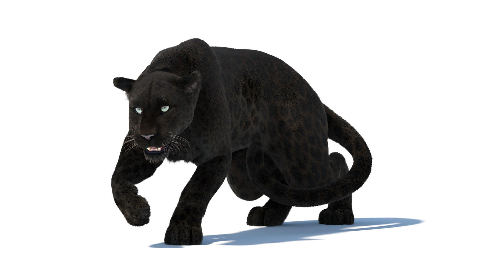 Black Panther 3D Model Rigged Fur 360° view 3 frame 6