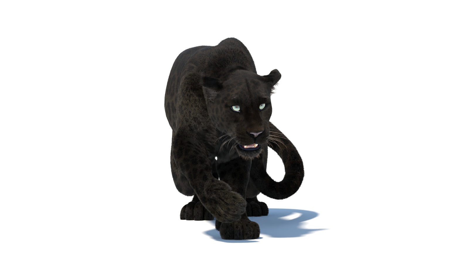 Black Panther 3D Model Rigged Fur 360° view 3 frame 9