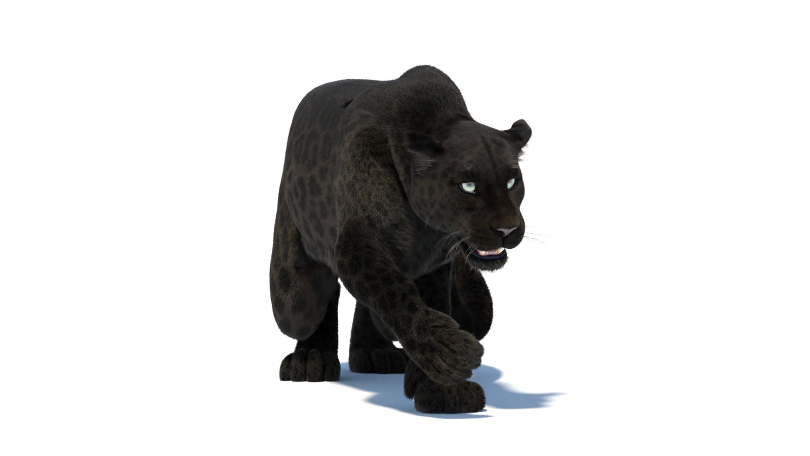 Black Panther 3D Model Rigged Fur 360° view 3 frame 10