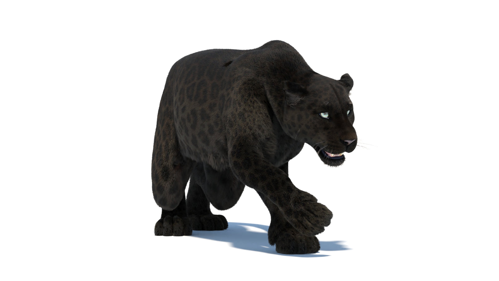 Black Panther 3D Model Rigged Fur 360° view 3 frame 11