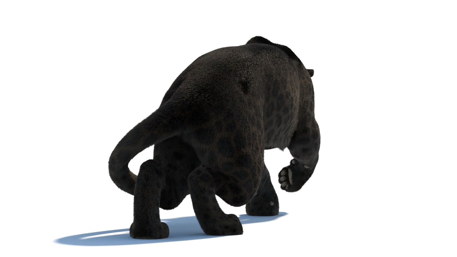 Black Panther 3D Model Rigged Fur 360° view 3 frame 25